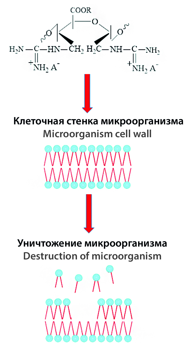 Изображение на обложке