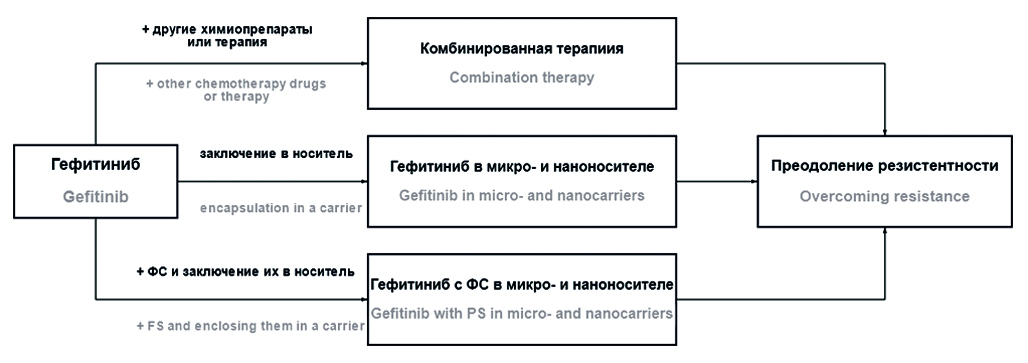 Изображение на обложке