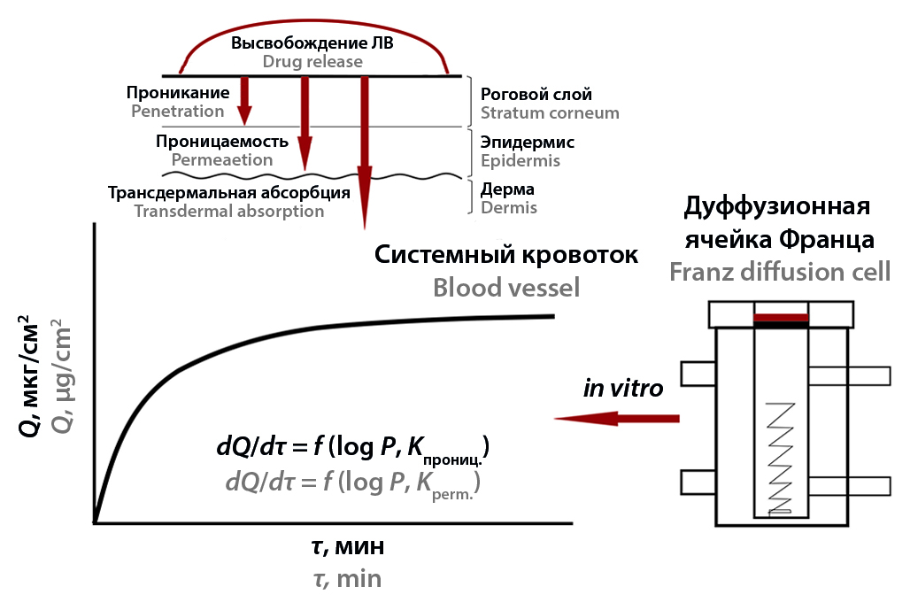 Изображение на обложке
