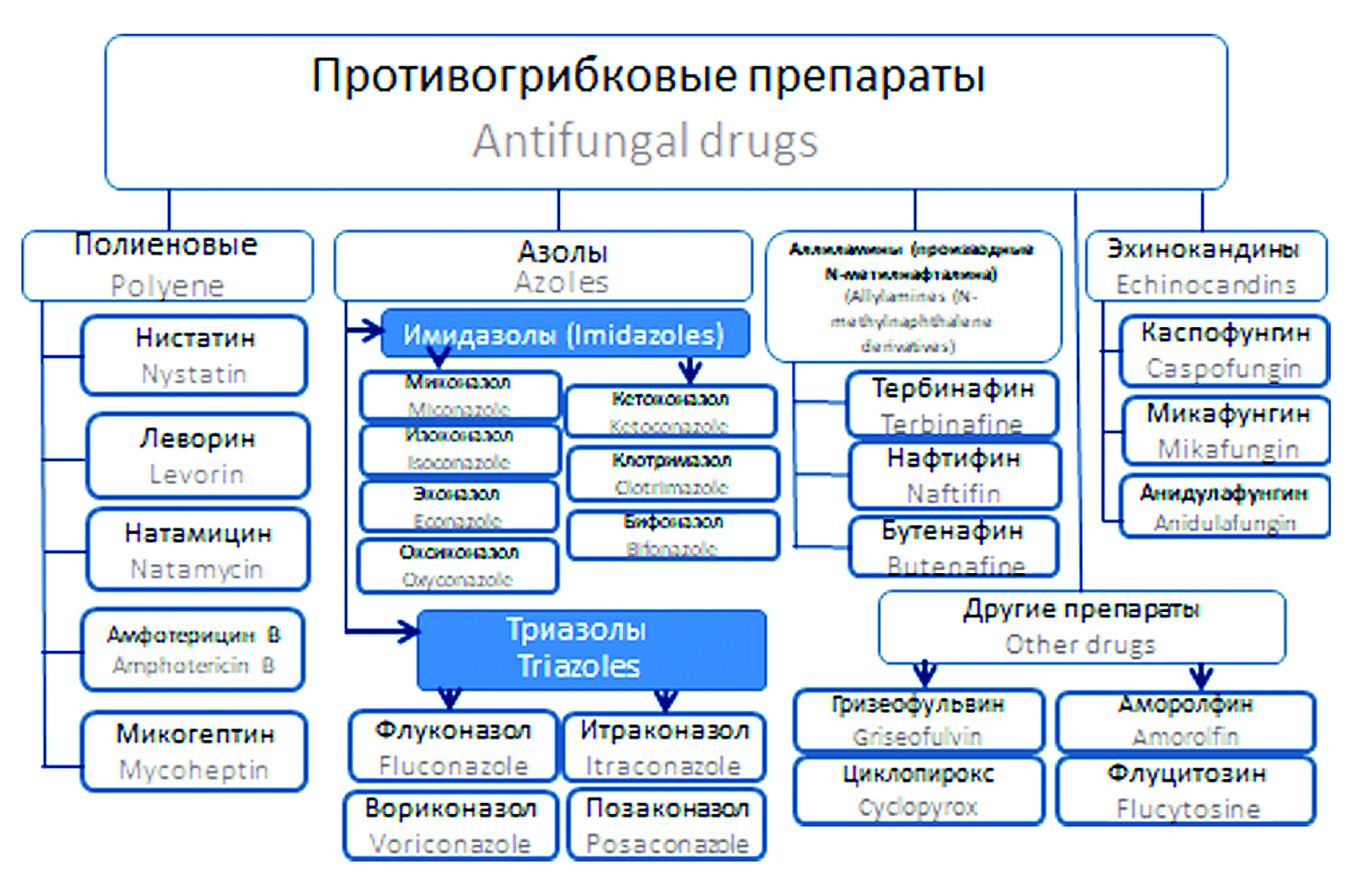 Изображение на обложке