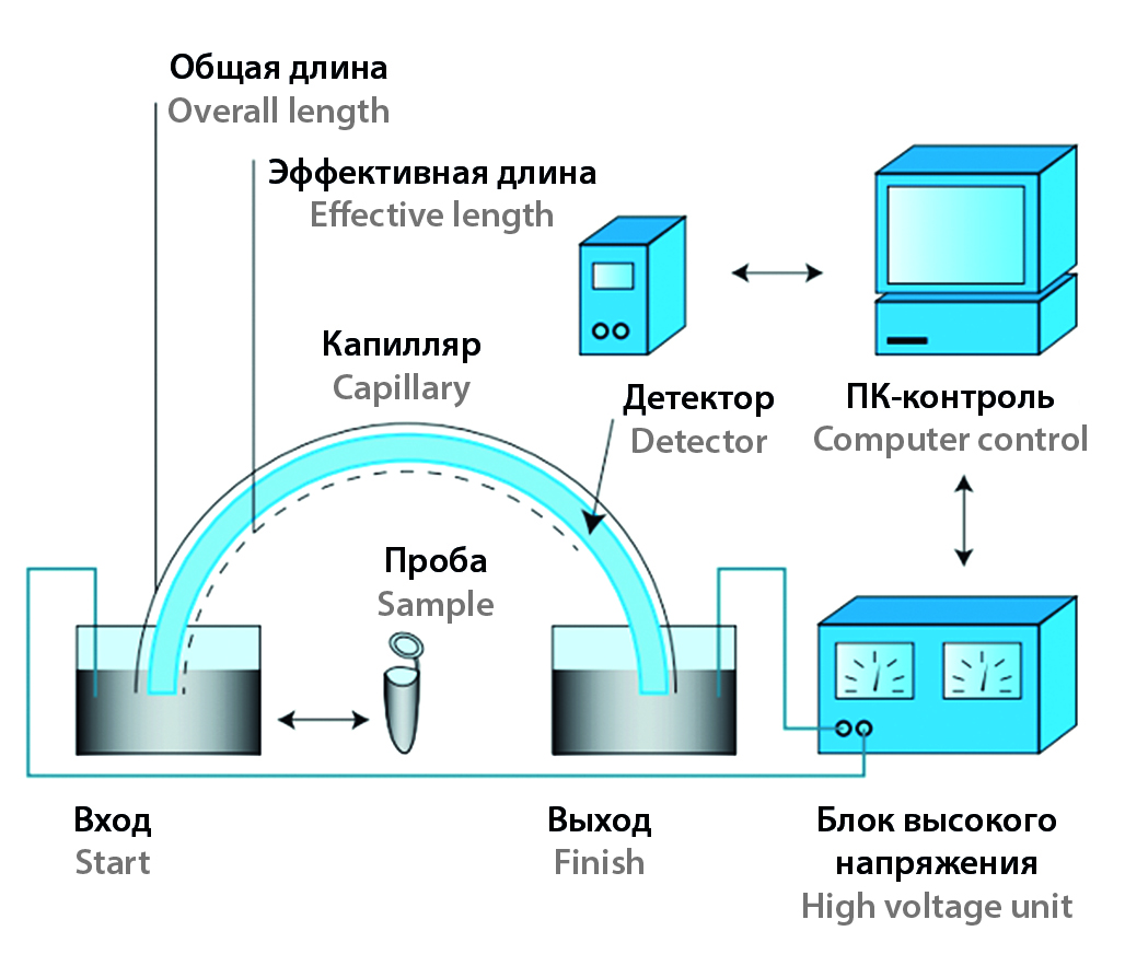 Изображение на обложке