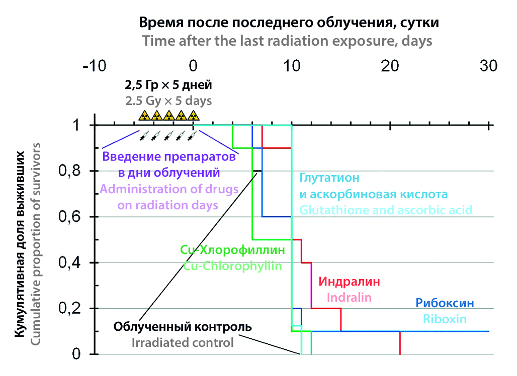 Изображение на обложке