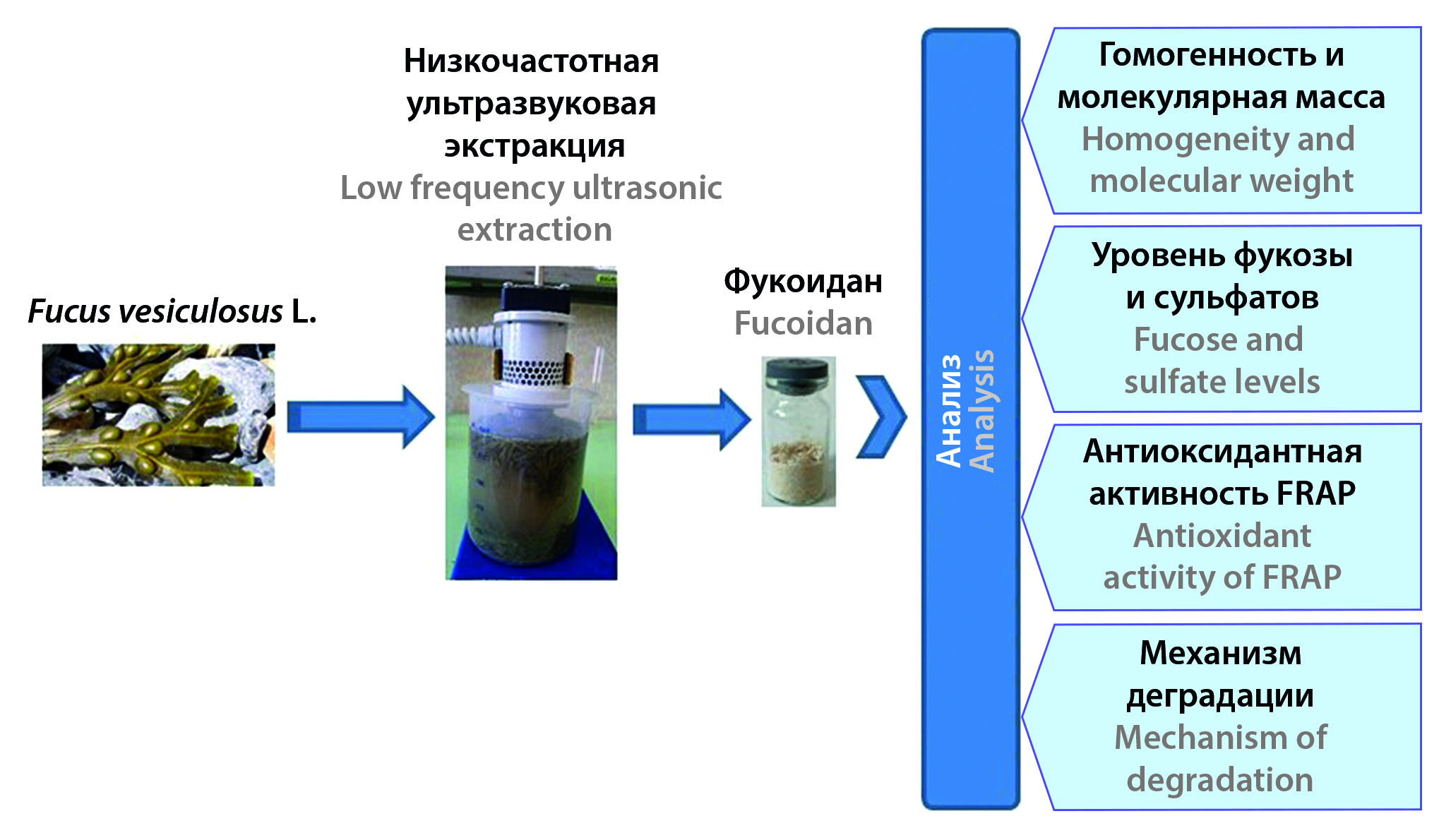 Изображение на обложке