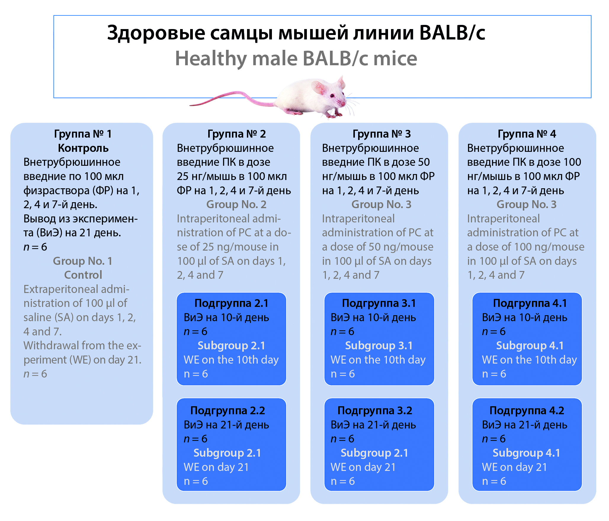 Изображение на обложке