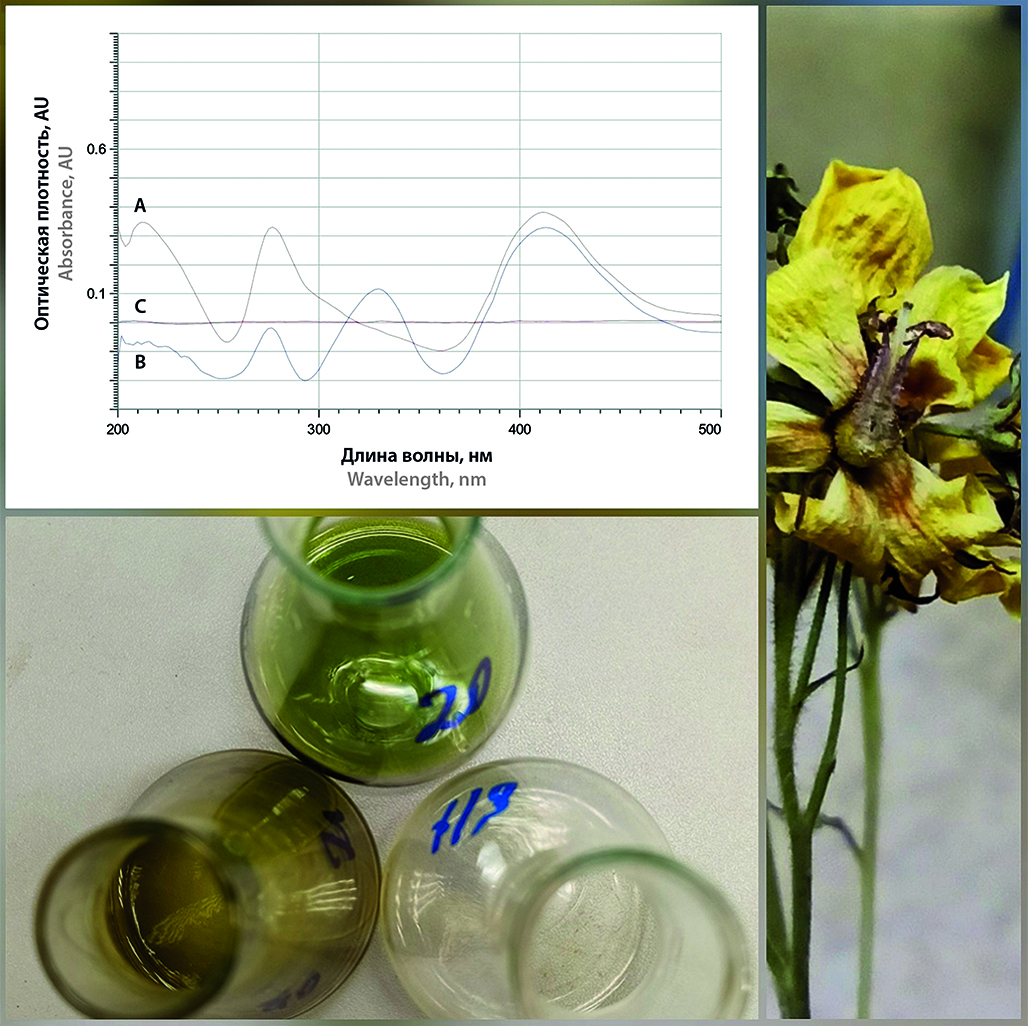 Изображение на обложке