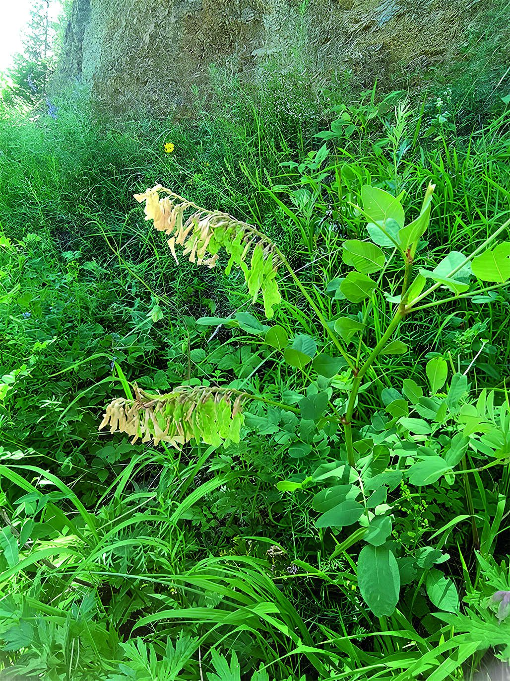 Изображение на обложке