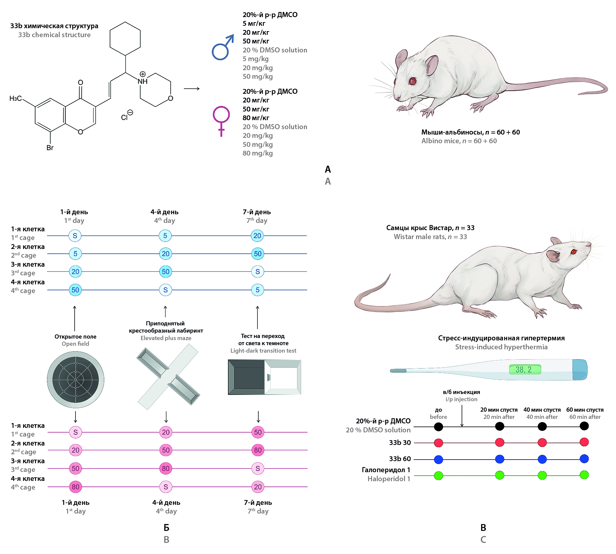 Изображение на обложке