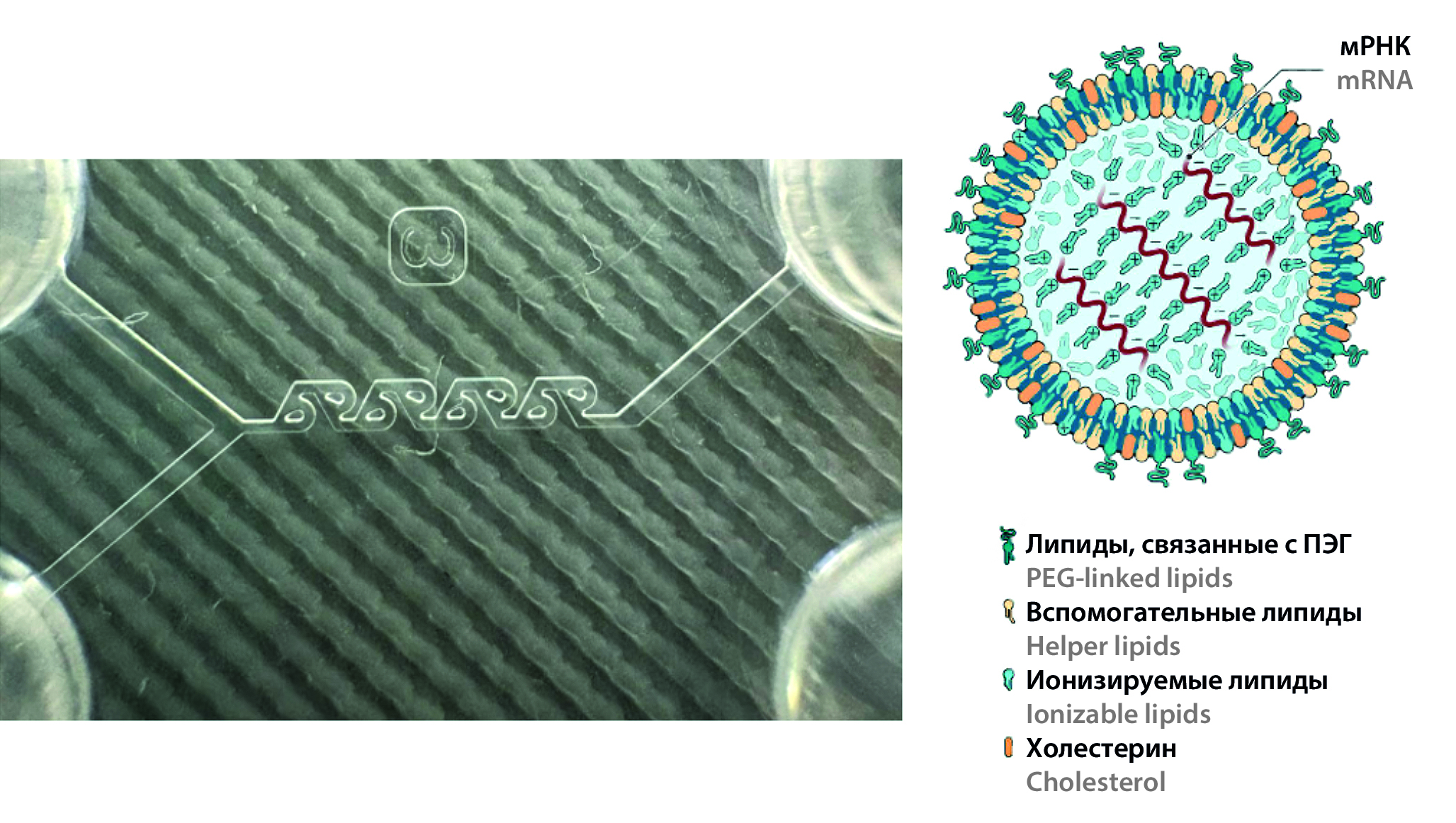 Изображение на обложке
