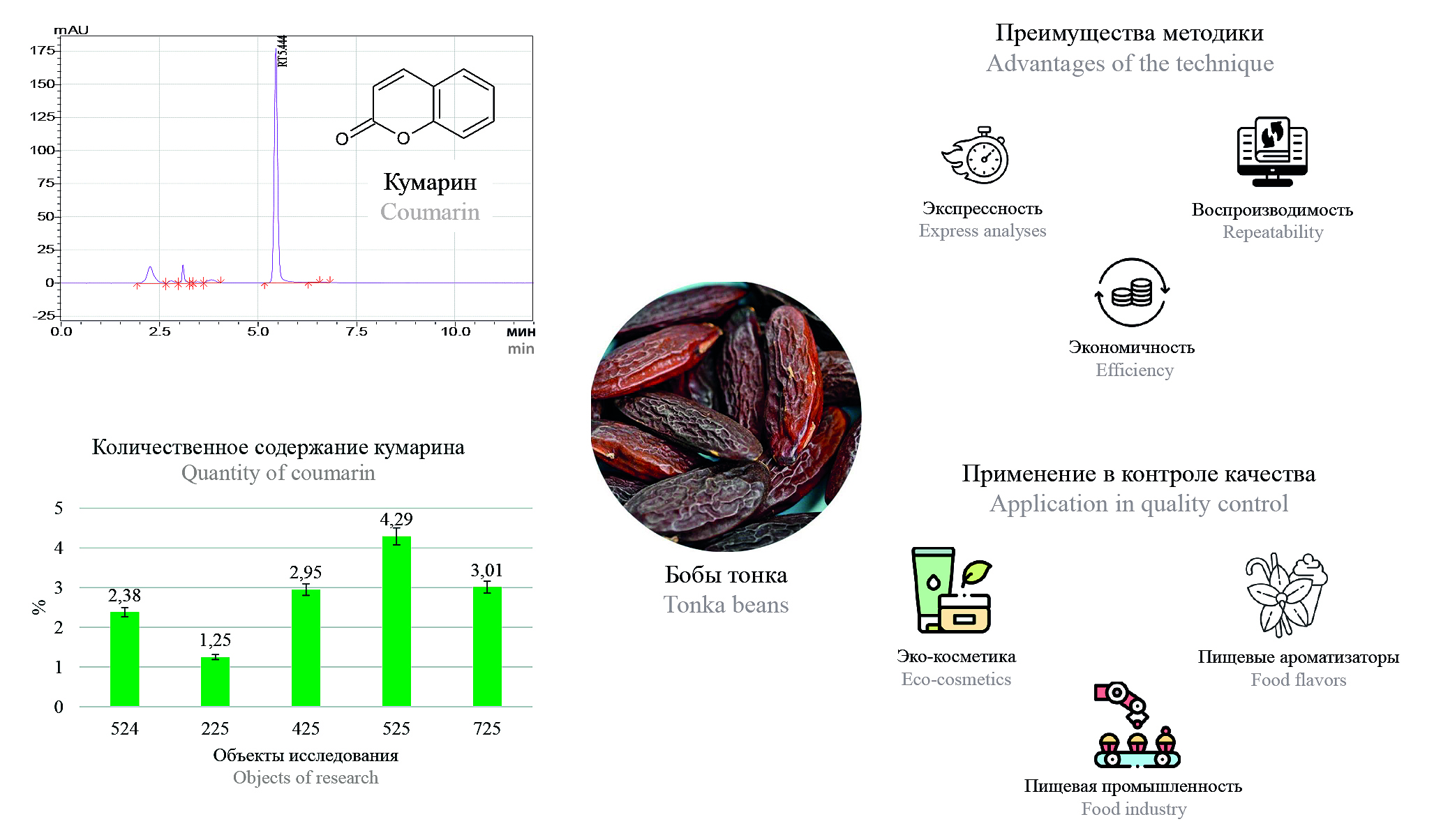 Изображение на обложке