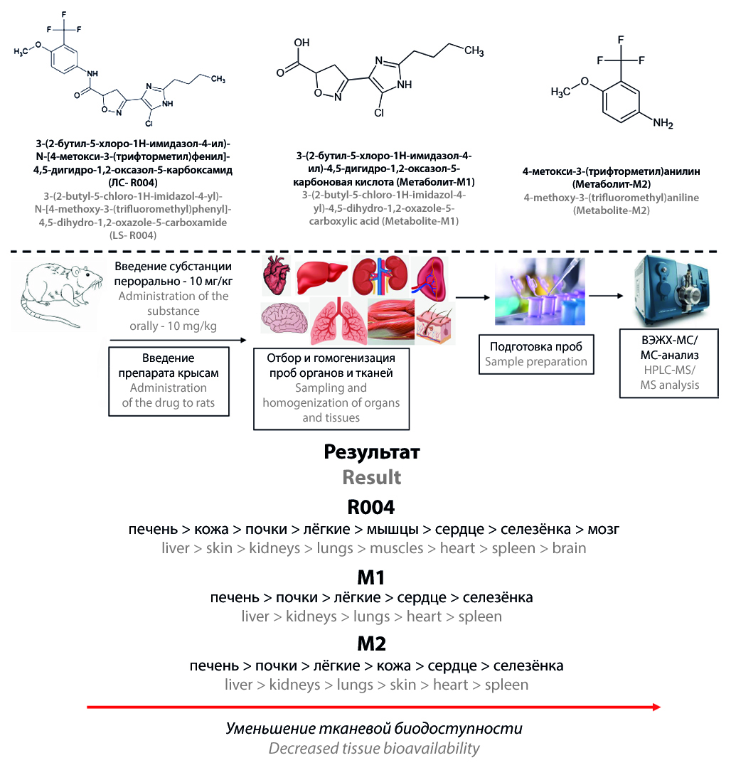 Изображение на обложке