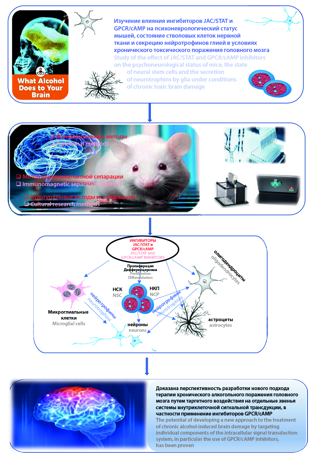 Изображение на обложке
