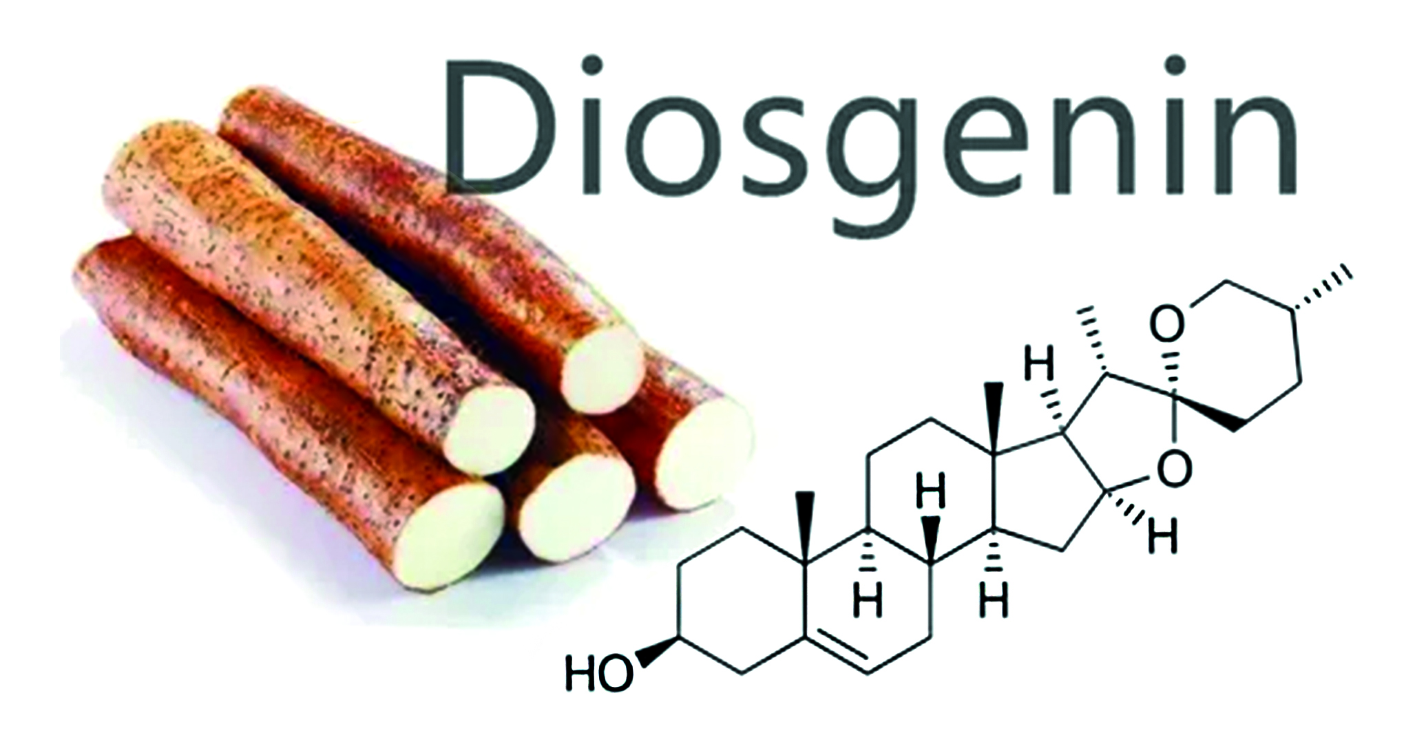 Изображение на обложке