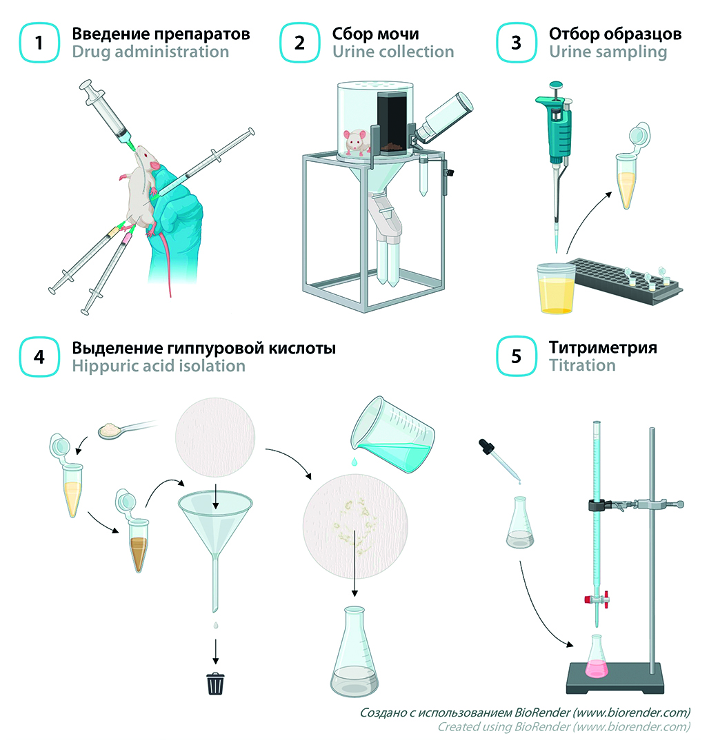 Изображение на обложке