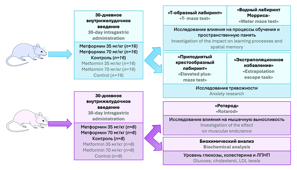 Изображение на обложке
