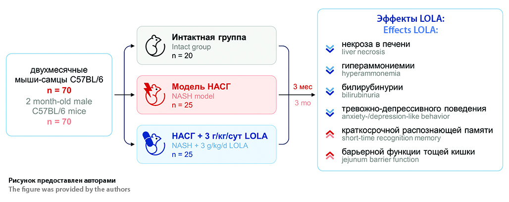 Изображение на обложке